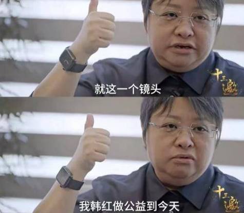 今日特码科普！韩红基金会捐赠名单,百科词条爱好