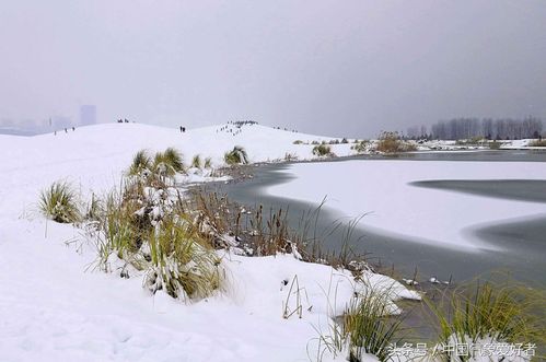 今日特码科普！河南暴雪10到18毫米,百科词条爱好