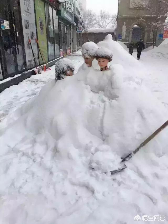 今日特码科普！大风暴雪预警生效中,百科词条爱好