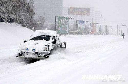 今日特码科普！大风暴雪预警生效中,百科词条爱好