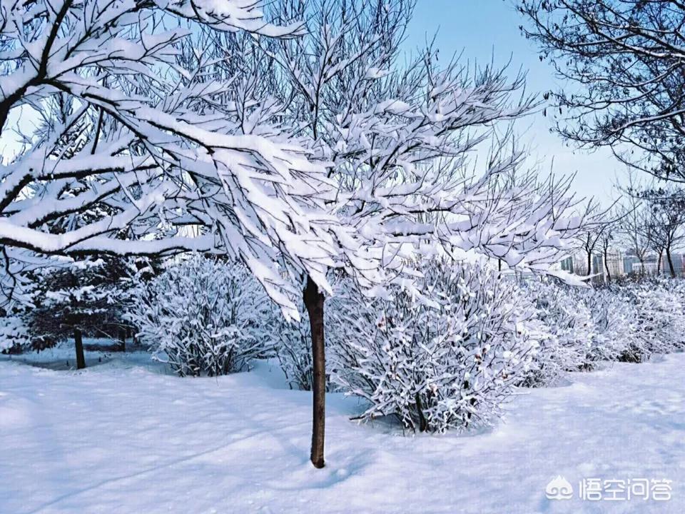 今日特码科普！大风暴雪预警生效中,百科词条爱好