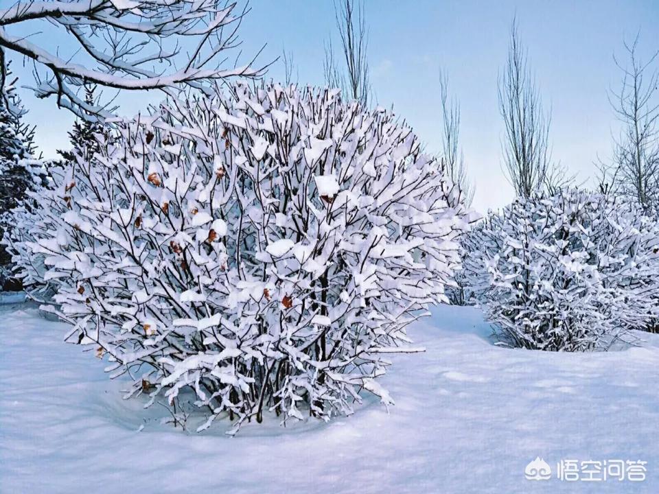 今日特码科普！大风暴雪预警生效中,百科词条爱好