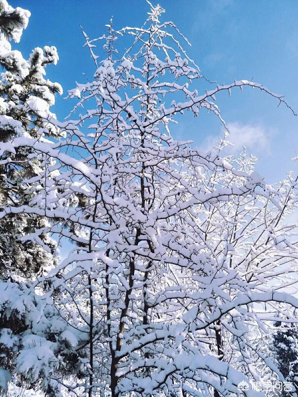 今日特码科普！大风暴雪预警生效中,百科词条爱好