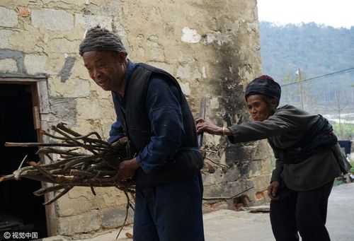 今日特码科普！79岁老人躺板车拜年,百科词条爱好